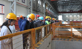 本會成功舉辦上海市建設(shè)工程2017年度綠色施工主題觀摩會